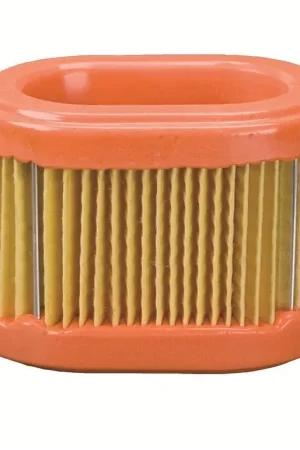 Bargain Briggs & Stratton 790166 Oval Air Filter Cartridge