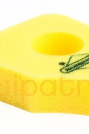 Top Rated Briggs & Stratton 794071 Air Cleaner Filter