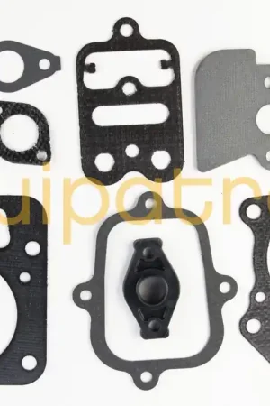 Bargain Briggs & Stratton 795441 Valve Gasket Set, Replaces 792386, 694091, 690220