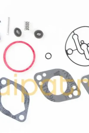 Bargain Briggs & Stratton 796137 Carburetor Overhaul Kit