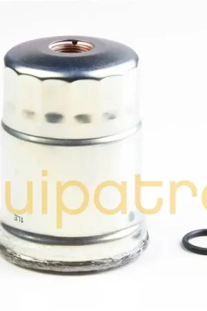 Today Only Briggs & Stratton 820311 Fuel Filter