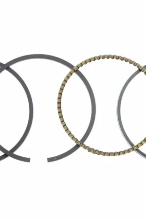 Honda 13010-Z0T-801 Piston Ring Set (Standard)(Riken) Today Only
