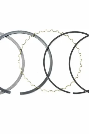 Honda 13010-ZF6-003 Piston Ring Set (Standard)(Nippon) Instant Buy