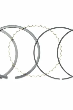 Certified Honda 13010-ZJ1-841 Piston Ring Set (Standard)(Nippon)