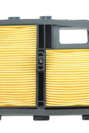 High Quality Honda 17010-ZJ1-000 Air Cleaner Element Set