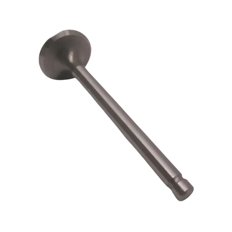 Kohler 32 016 01-S Exhaust Valve Time-Limited