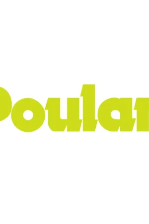 Seasonal Sale Poulan 545189502 Carburetor