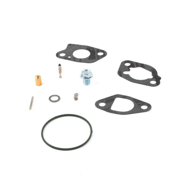 Buy Online Briggs & Stratton 591770 Carburetor Overhaul Kit