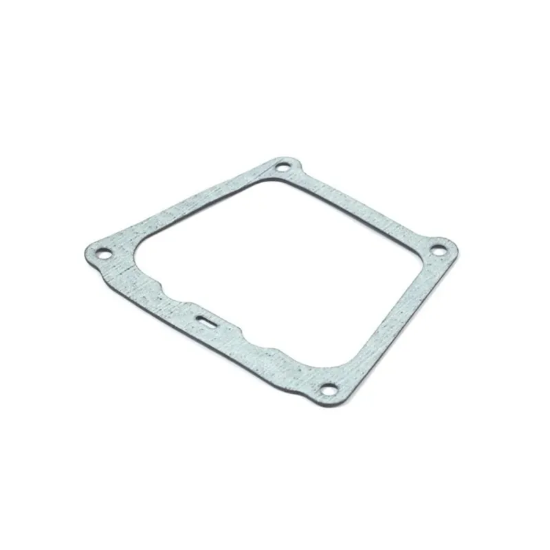 Briggs & Stratton 710377 Rocker Cover Gasket Genuine