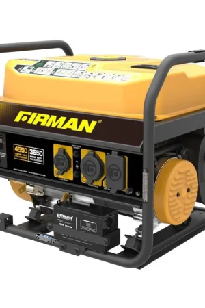 Firman P03601 Performance Series Portable Generator, 3650 Running Watts Limited Offer
