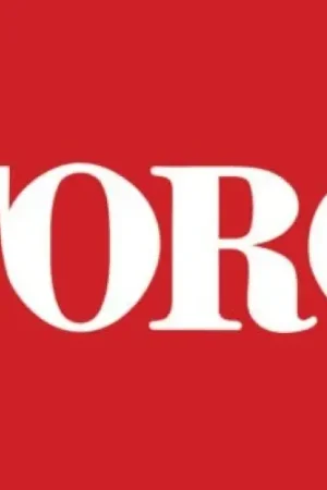 Toro Rotor Blade 161-2172 Genuine Original OEM Deal